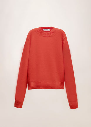 Pure Cashmere Crewneck Sweater