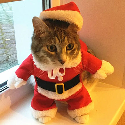 Adorable Christmas Cat Costumes - Funny Santa Claus Outfits for Small Cats and Dogs - Perfect for Holiday Celebrations!