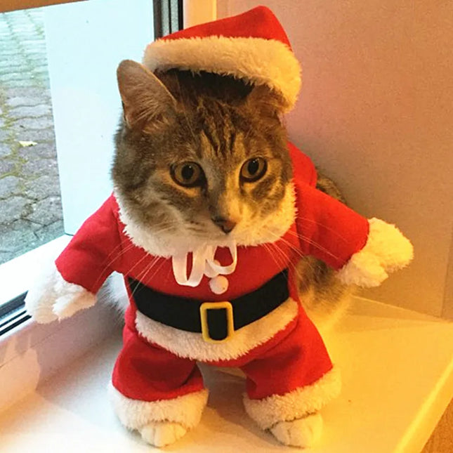 Adorable Christmas Cat Costumes - Funny Santa Claus Outfits for Small Cats and Dogs - Perfect for Holiday Celebrations!