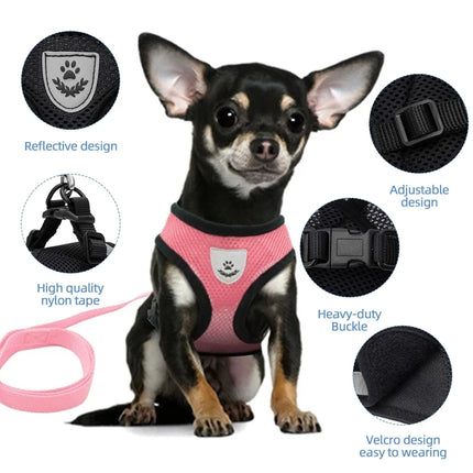 Discover the Ultimate Comfort: Adjustable Cat Harness Vest with Leash for Small and Medium Pets!