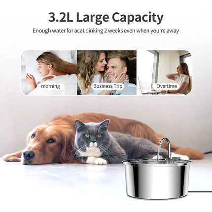 Elevate Your Pet's Hydration with the Stainless Steel Automatic Water Fountain - Mute USB Electric Drinking Bowl for Cats and Dogs