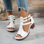 White / 36
