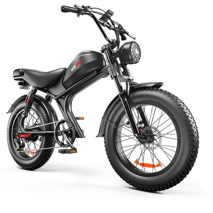 C93- Dual-drive High-speed Electric Bike