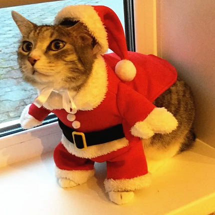 Adorable Christmas Cat Costumes - Funny Santa Claus Outfits for Small Cats and Dogs - Perfect for Holiday Celebrations!