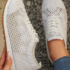 White / 36