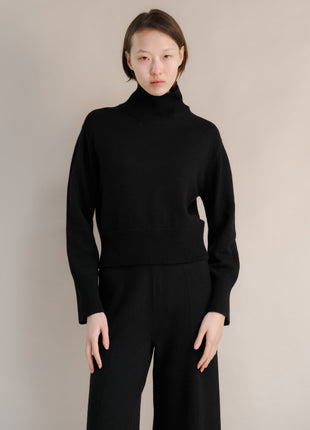Cashmere Mix Turtleneck Sweater