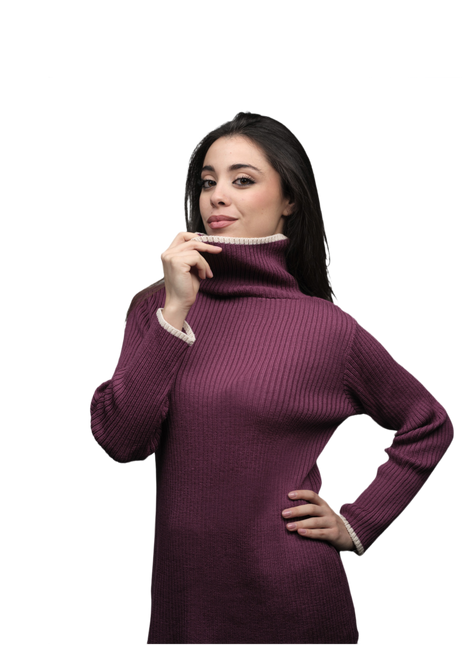 Women's Ribbed Turtleneck Sweater in Extrafine Merino Wool