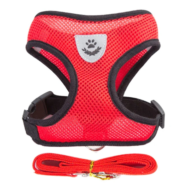 Discover the Ultimate Comfort: Adjustable Cat Harness Vest with Leash for Small and Medium Pets!