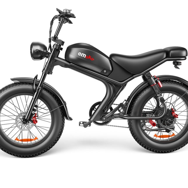 C93- Dual-drive High-speed Electric Bike