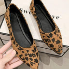 Leopard Print / 35