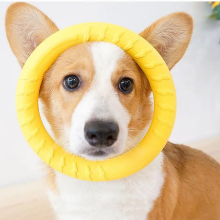 Indestructible Dog Ring Toy - Perfect for Fetch, Chewing, and Training for All Dog Sizes!