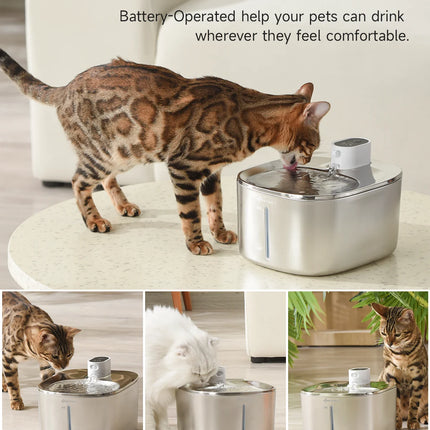 4L Wireless Cat Water Fountain Auto Sensor Drinking Fountain for Cats Dog Drinker Pet Water Dispenser Accessories