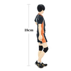 Tobio Kageyama / 17-18Cm