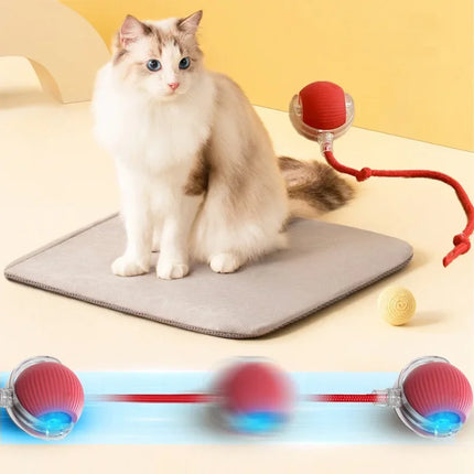 Smart Interactive Electric Rolling Ball Toy for Cats - USB Rechargeable Automatic Teaser
