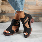 Black / 36