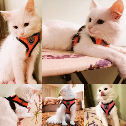 Discover the Ultimate Comfort: Adjustable Cat Harness Vest with Leash for Small and Medium Pets!